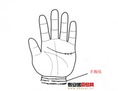 灵犀掌纹图解课堂:从手腕线看你命运如何