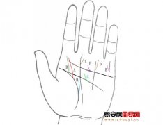 灵犀掌纹图解课堂:手相上升线算命图解