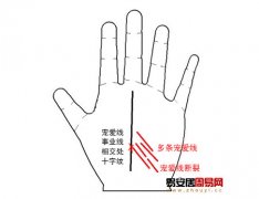 灵犀掌纹图解课堂:手相宠爱线算命图解