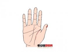 灵犀掌纹图解课堂:手相影响线算命图解