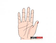 灵犀掌纹图解课堂:手相活力线算命图解