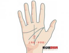 灵犀掌纹图解课堂:手相上吊纹算命图解