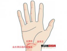 灵犀掌纹图解课堂:手相纵欲线算命图解