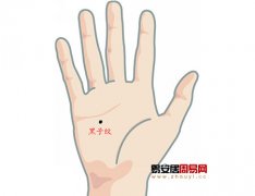 灵犀掌纹图解课堂:手相黑子纹算命图解