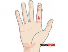 灵犀掌纹图解课堂:手相获利纹和私利纹算命图解