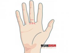 灵犀掌纹图解课堂:手相浪费纹算命图解
