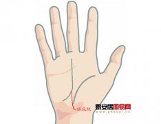 灵犀掌纹图解课堂:手相祖庇纹算命图解