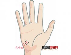 灵犀掌纹图解课堂:手相变动线算命图解