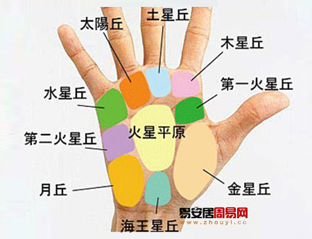 灵犀周易手相课堂:手相掌丘看你财运如何