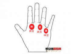 灵犀手相课堂:手相看你官运是否亨通