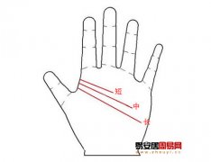 灵犀手相课堂:能成就大事的手相特点