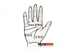灵犀手相课堂:对感情忠诚专一的手相