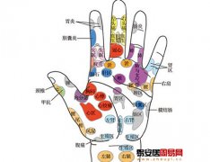 灵犀手相课堂:如何看手相掌纹八区诊断疾病