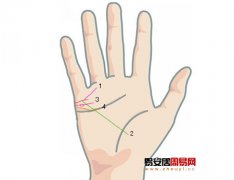 灵犀手指算命课堂:手相看你能否嫁入豪门