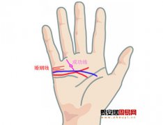 灵犀周易手相课堂:容易出轨的十三种手相