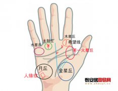 灵犀手相课堂:从掌纹和手型看适合你的职业