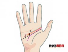 灵犀智慧线课堂:手相智慧线看你从事什么工作好