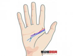 灵犀智慧线课堂:手相智慧线看适合你的职业