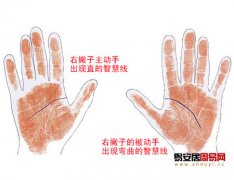 灵犀手相课堂:双手三大主线的差异代表什么