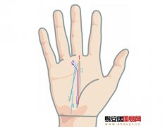 灵犀事业线课堂:能够成功的事业线手相