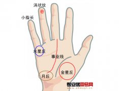 灵犀手相课堂:最受男性欢迎的女性手相图解