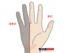 灵犀手相课堂:从手掌分区看你的主导个性