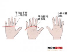 灵犀手相课堂:手指指根的形态看性格