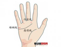 灵犀手相课堂:手相看你闷骚的程度