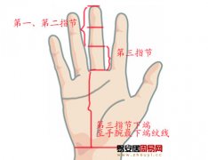 灵犀手指算命课堂:中指长短与财运有什么关系