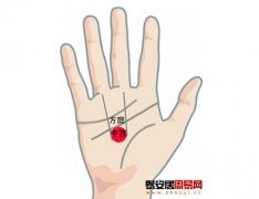 灵犀手相课堂:手相图解什么是中宫