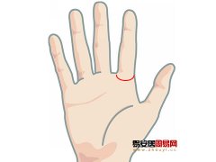 灵犀掌纹图解课堂:手相木星环算命图解