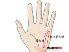 灵犀掌纹图解课堂:手相神秘线算命图解
