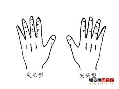 灵犀手相课堂:手相手型看两个人是否投缘