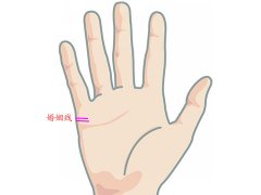 灵犀手相课堂:手相看生男生女算命图解