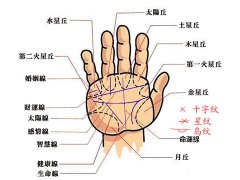 灵犀掌纹图解课堂:手掌纹路图解大全