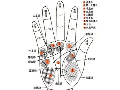 灵犀手相课堂:手相的看法详解