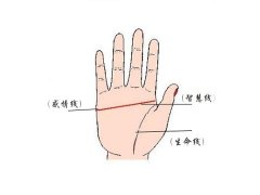 灵犀断掌课堂:假断掌手相图解