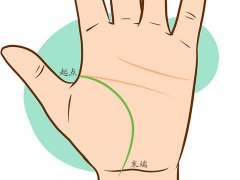 灵犀生命线课堂:手相生命线手纹看健康