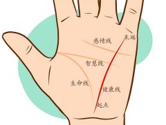灵犀掌纹图解课堂:手相健康线手纹看健康