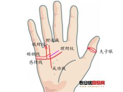 灵犀手相课堂:嫁得好的女人手相