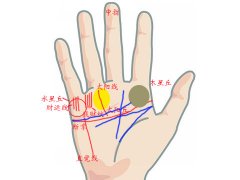 灵犀手相课堂:男人大富大贵的手相
