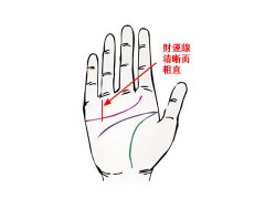 灵犀手相课堂:什么样的手相招财