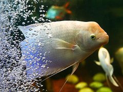 灵犀公司风水课堂:给公司招财的风水布局