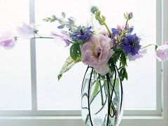 灵犀客厅风水:客厅插花风水