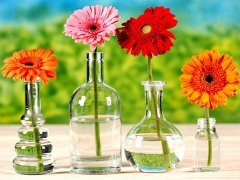 灵犀风水摆设:鲜花摆放风水