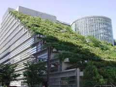 灵犀店铺风水课堂:风水中五行属土的行业