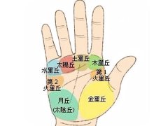 灵犀手相课堂:什么手相的人注定有钱