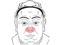 灵犀看相识人课堂:什么面相的人适合经商