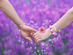 灵犀感情风水:2016年旺姻缘招桃花风水布局