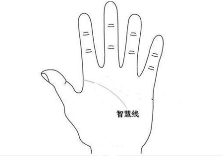 灵犀痣相课堂:手相解读你的智谋